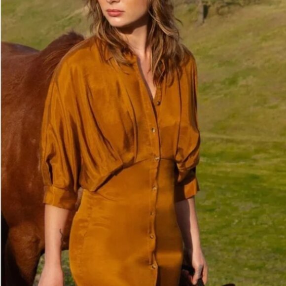 Zara pleated midi shirt dress midi toffee button down dress XS - Picture 3 of 12